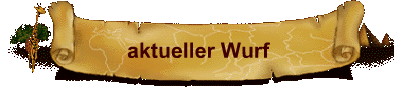 aktueller Wurf