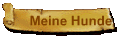 Meine Hunde