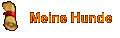 Meine Hunde