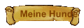 Meine Hunde